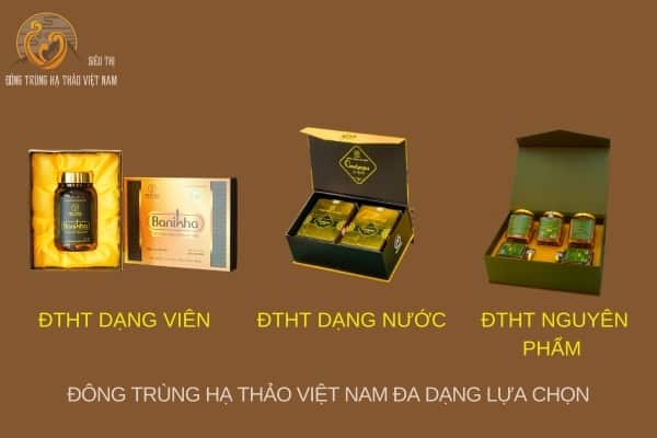 Đông trùng hạ thảo Việt Nam đa dạng sự lựa chọn