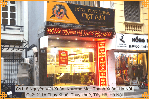 Mua Đông trùng hạ thảo Vinh Gia tại hệ thống siêu thị ĐTHT Việt Nam
