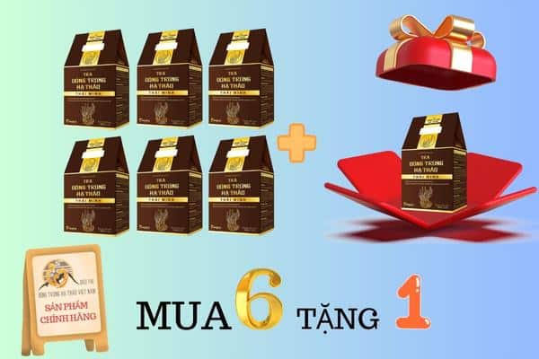 Khuyến mãi mua 6 tặng 1 trà đông trùng Thái minh